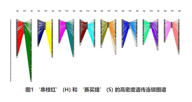 辽宁省果树科学研究所在杏果实性状遗传和QTL定位方面研究取得新进展