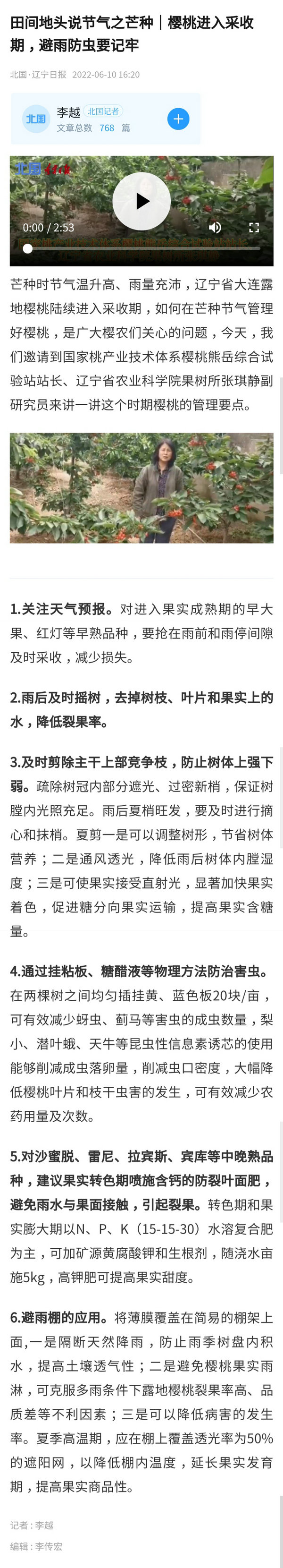 北国·辽宁日报——田间地头说节气之芒种｜樱桃进入采收期，避雨防虫要记牢.jpg