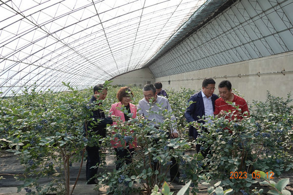 图片5.jpg