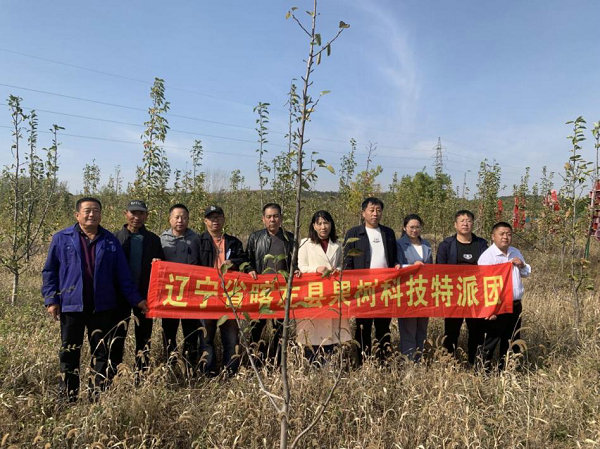 图片4.jpg