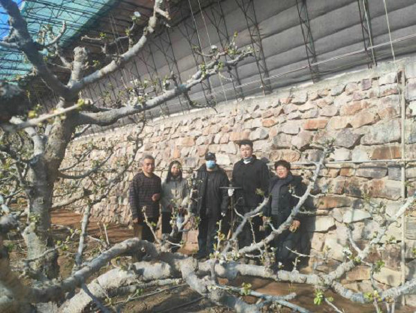 图片4.jpg