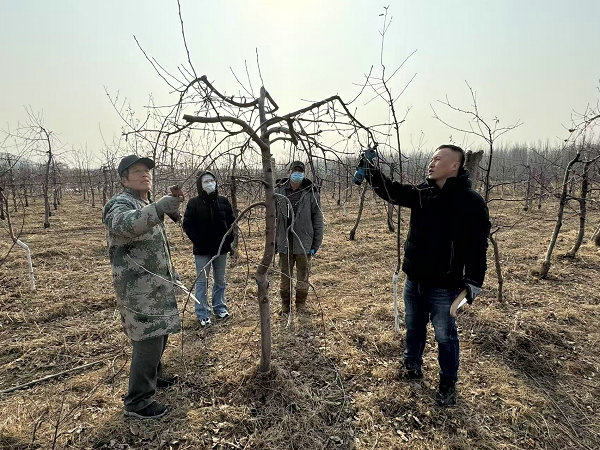 图片18.jpg