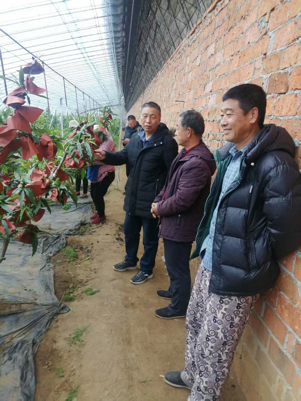 图片9.jpg