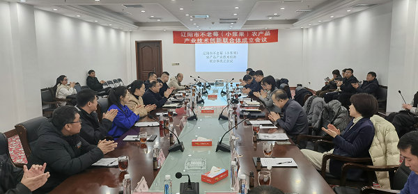 图片19.jpg