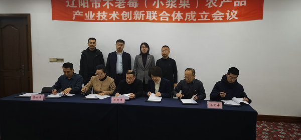 图片20.jpg