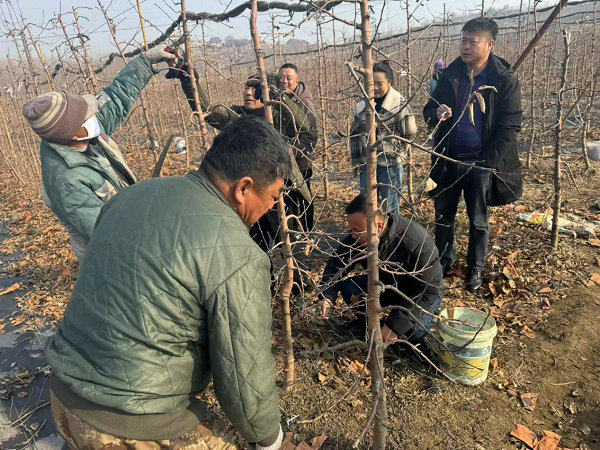 图片27.jpg