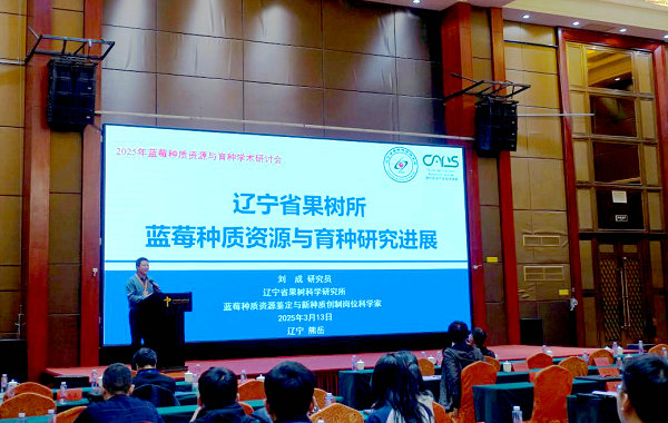 图片11.jpg