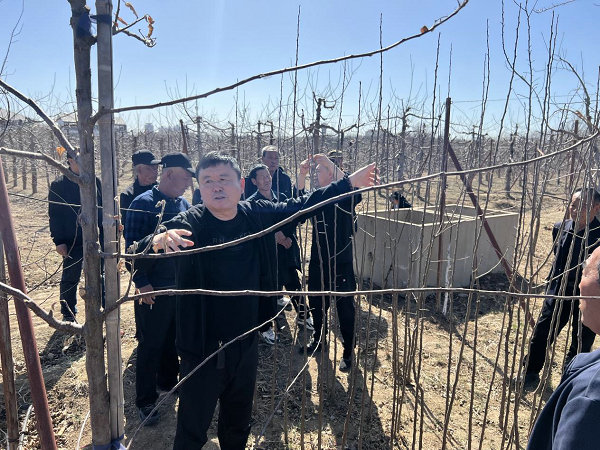 图片9.jpg
