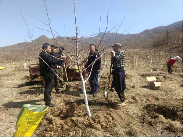 图片4.jpg